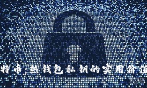 保护你的比特币:热钱包私钥的实用价值与安全指南