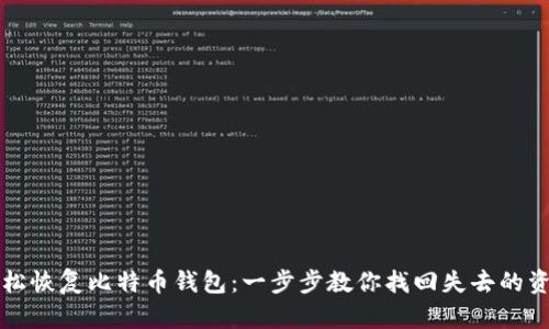 轻松恢复比特币钱包:一步步教你找回失去的资产