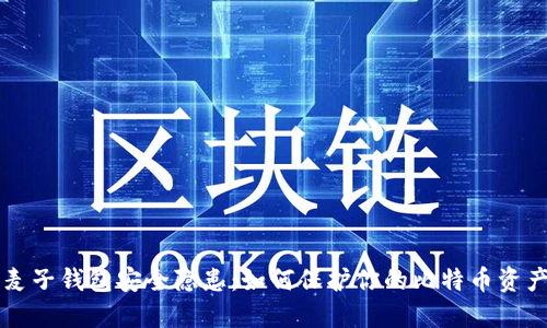 麦子钱包安全隐患:如何保护你的比特币资产