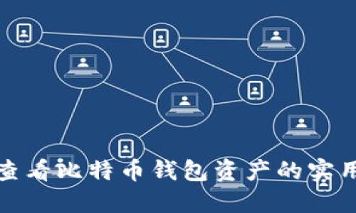 轻松查看比特币钱包资产的实用技巧