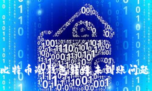 如何解决比特币冷钱包转账未到账问题：实用指南