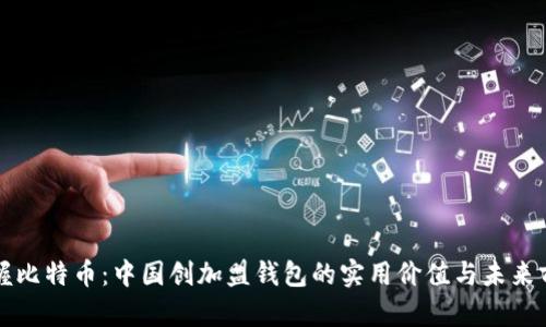 掌握比特币:中国创加盟钱包的实用价值与未来前景