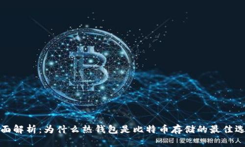 全面解析:为什么热钱包是比特币存储的最佳选择