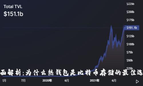 全面解析:为什么热钱包是比特币存储的最佳选择