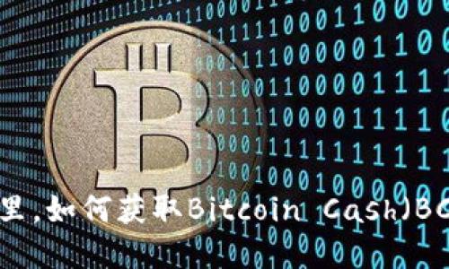 比特币在钱包里，如何获取Bitcoin Cash（BCH）的实用指南