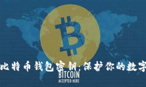深度解析比特币钱包密钥：保护你的数字资产安全