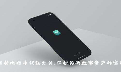 全面解析比特币钱包文件:保护你的数字资产的实用指南