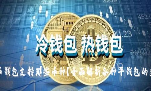 比特币钱包支持那些币种?全面解析各种平钱包的兼容性