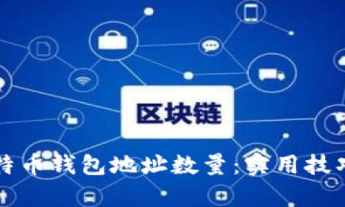 如何查看比特币钱包地址数量：实用技巧与深度解析