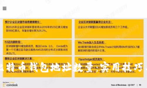 如何查看比特币钱包地址数量：实用技巧与深度解析
