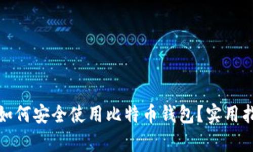 在国内如何安全使用比特币钱包?实用指南解析