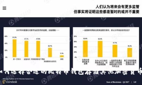 如何选择合适的比特币钱包存储其他加密货币?