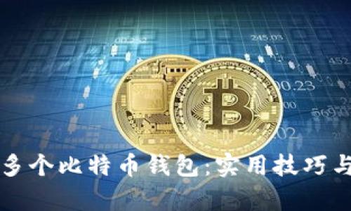 如何有效管理多个比特币钱包:实用技巧与个人经验分享