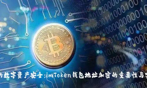 保障你的数字资产安全：imToken钱包地址加密的重要性与实用技巧