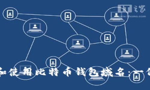 如何选择和使用比特币钱包域名:一份实用指南