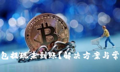imToken钱包提现未到账？解决方案与常见问题解析