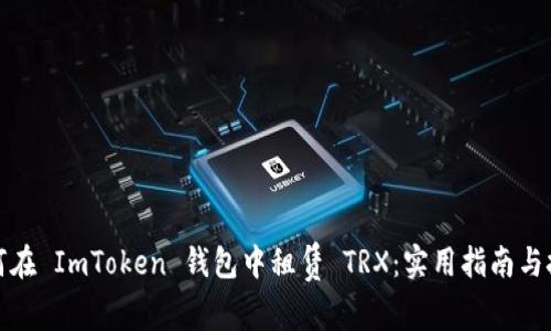 如何在 ImToken 钱包中租赁 TRX：实用指南与技巧
