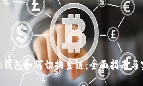 imtoken钱包如何切换主链:全面指南与实用技巧