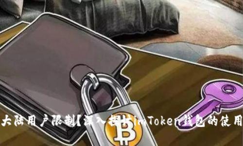 是否有大陆用户限制？深入探讨imToken钱包的使用与发展