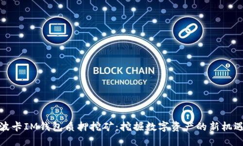 波卡IM钱包质押挖矿：挖掘数字资产的新机遇